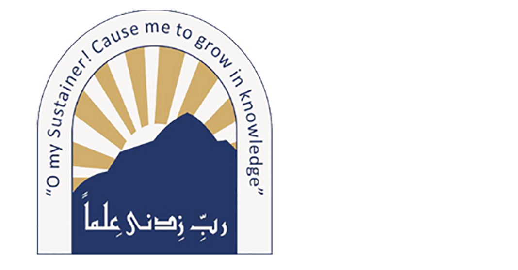 The Mount Sinai School
