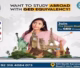 want to study abroad