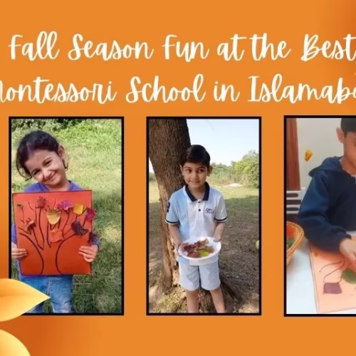 Fall Season Fun at the Best Montessori School in Islamabad