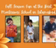 Fall Season Fun at the Best Montessori School in Islamabad